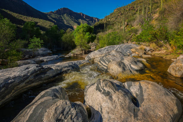 istock Tranquil Desert Stream in Mountain Landscape at Sunset, Saguaro Cacti on hillside. 2181061435