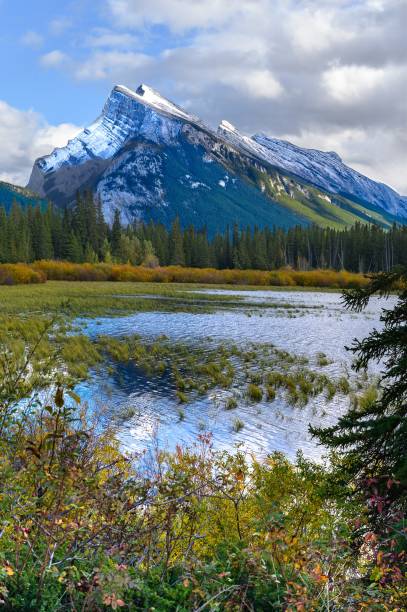 istock Mount Rundle and Vermilion Lake Portrait 2181066496