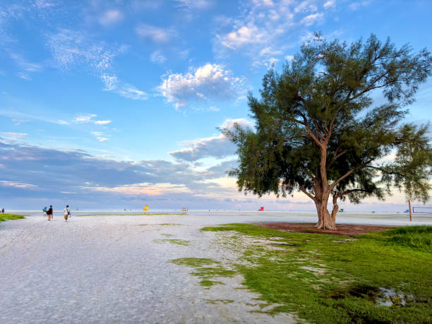 Blind Pass Trail to Boardwalk, Englewood, Florida
