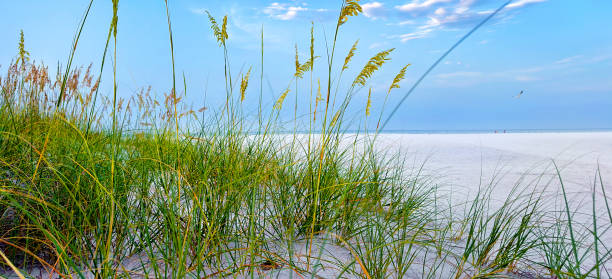 istock Tropical white sandy beach over sunny blue sky in early morning 2181068588