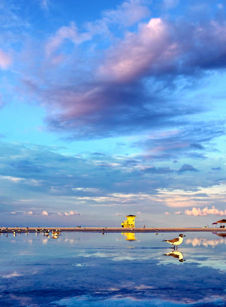 Tropical beach of Siesta Key, Sarasota, Florida