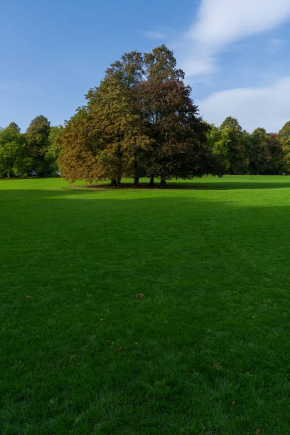istock green lawn and blue sky in the park 2181069757