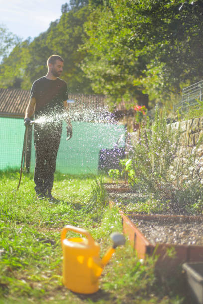 istock Bearded man watering green backyard 2181070057
