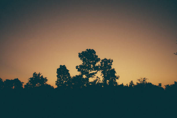 sunset sky in the city
