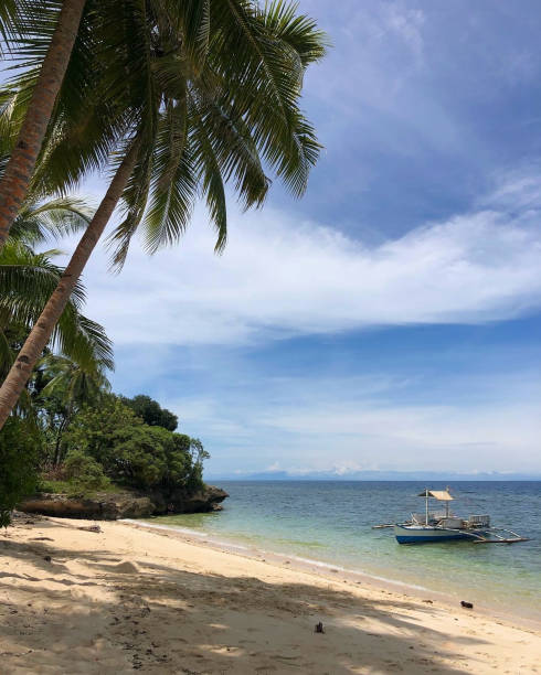 A peaceful tropical beach scene with crystal clear water, a traditional boat anchored near the shore, and palm trees under a bright blue sky