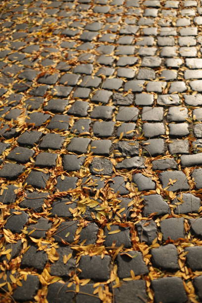 istock Cobblestone path covered with autumn leaves 2181080467