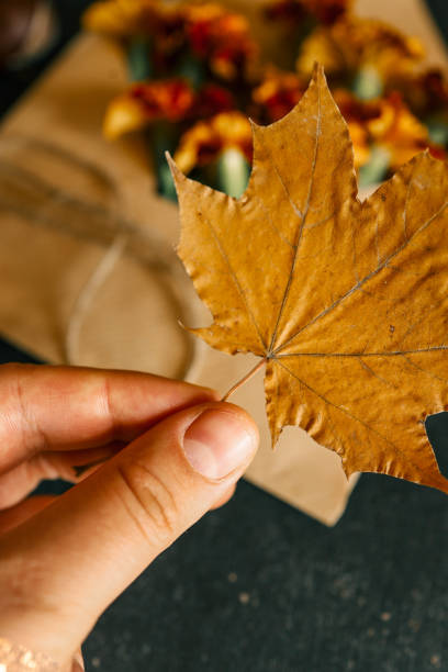istock Maple leaf in hand, autumn cozy atmosphere 2181080524