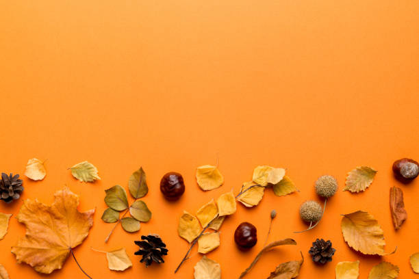 istock Autumn composition. Pattern made of dried leaves and other design accessories on table. Flat lay, top view 2181080673