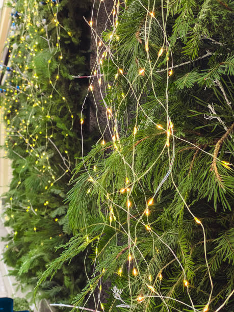 istock pine tree with christmas decoration close up 2181081302