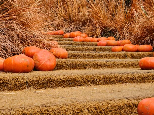 Stairs Decorated With Pumpkins