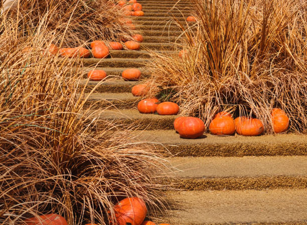 Stairs Decorated With Pumpkins         All Saints' Day