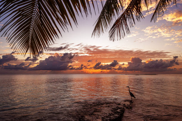 istock Tropical paradise beach at sunset time 2181104266
