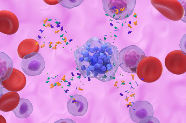 Activated mast cells starting emitting granules - closeup view 3d illustration stock photo