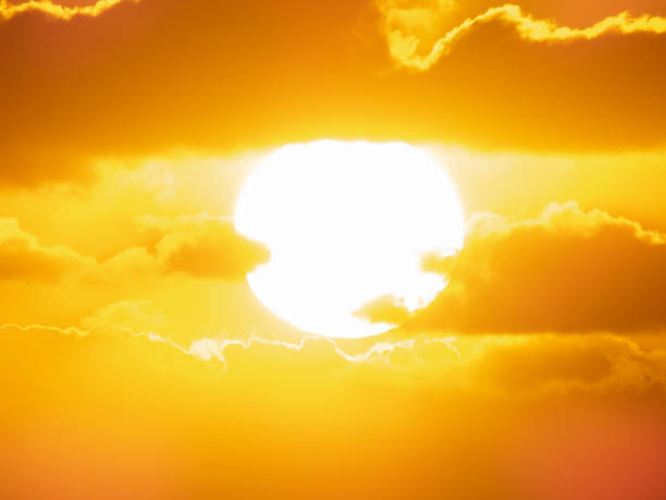 istock Sydney Airport Sunrise 2181119302
