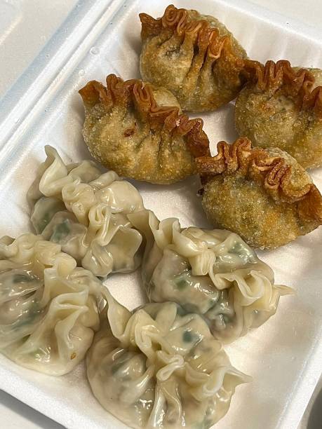 Korean Mandu Dumplings, made from flour dough and filled with seasoned chicken. Served on a plate.