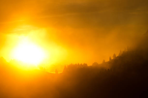 Sunrise in the fog in the inland of Gran Canaria. Canary Islands. Spain.