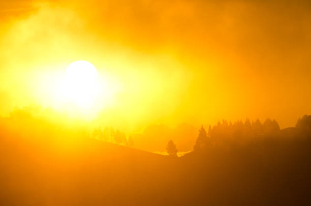 Sunrise in the fog in the inland of Gran Canaria. Canary Islands. Spain.