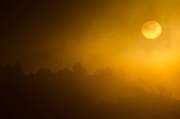 Sunrise in the fog in the inland of Gran Canaria. Canary Islands. Spain.