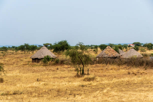istock A tranquil serengeti landscape 2181129515