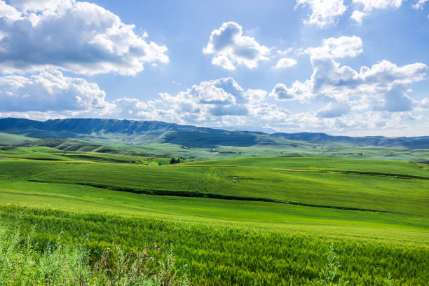 Farmland scenery on the mountain in Xinjiang
