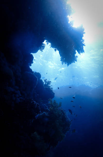 istock Cathedral of light underwater 2181131658