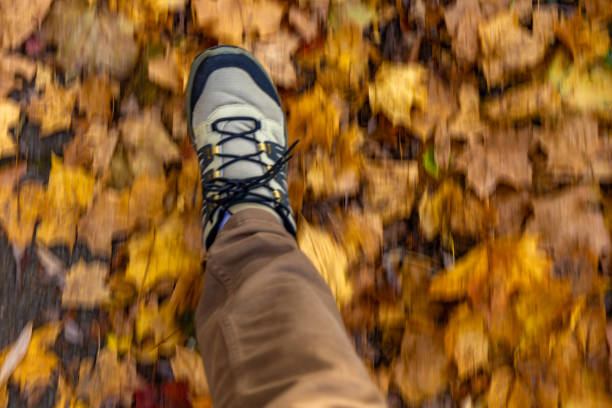 Man walking in the park in autumn, sports shoe against the background of colorful autumn leaves