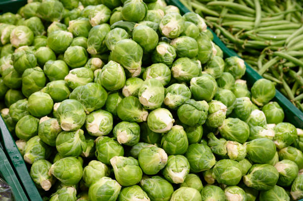 Close-up of green Brussels sprout buds covered with small water drops. Vegetable background. Vegan and vegetarian raw food and healthy lifestyle concept.