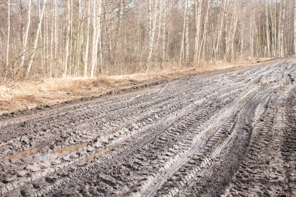 spring landscape with muddy swamp, forest road, spring, dirty wet road texture, spring