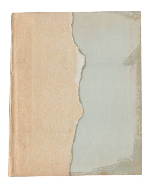 istock Vintage background of old ancient torn paper texture isolated 2181136614