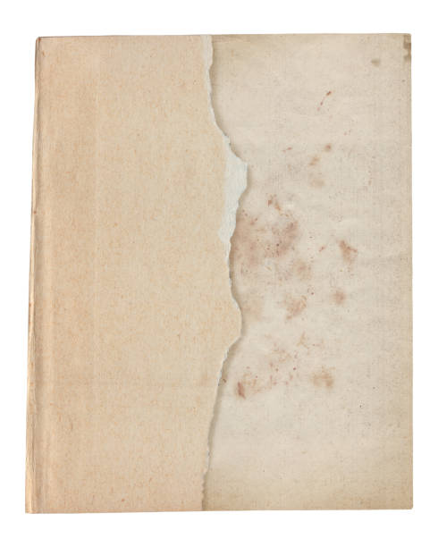 istock Vintage background of old ancient torn paper texture isolated 2181136669