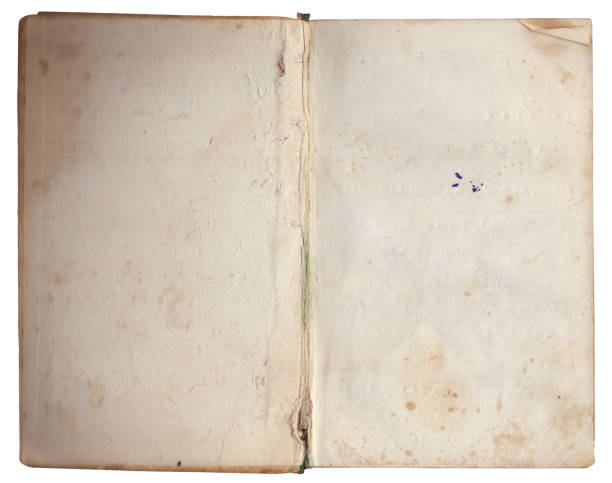 istock Vintage empty background of old book paper texture isolated 2181136697