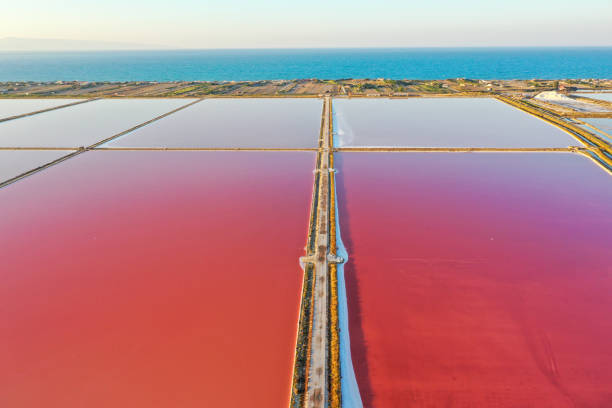 istock Saline di Margherita di Savoia 2181138144