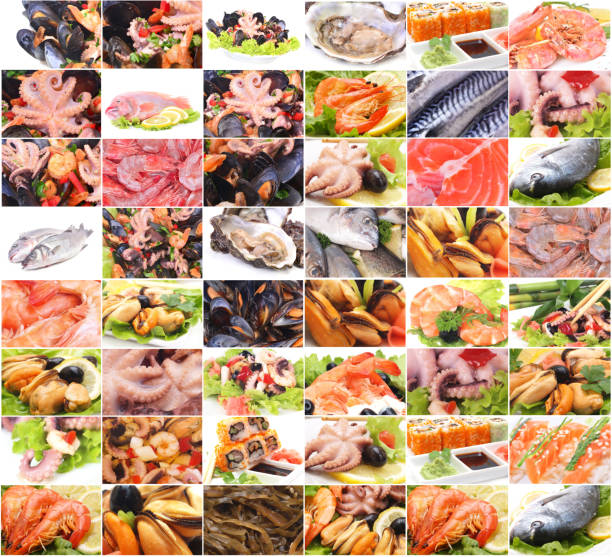 The freshest seafood for every taste