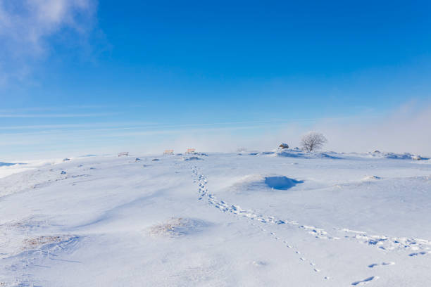 A tranquil snowy expanse under a bright blue sky, with isolated footprints leading to a distant bench. Ideal for concepts of solitude, winter, and peacefulness.