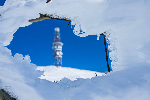 Ice covered branches in the foreground of a radio/cellular tower during an intense ice storm.