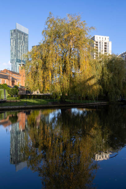 istock Reflections of Nature 2181153137