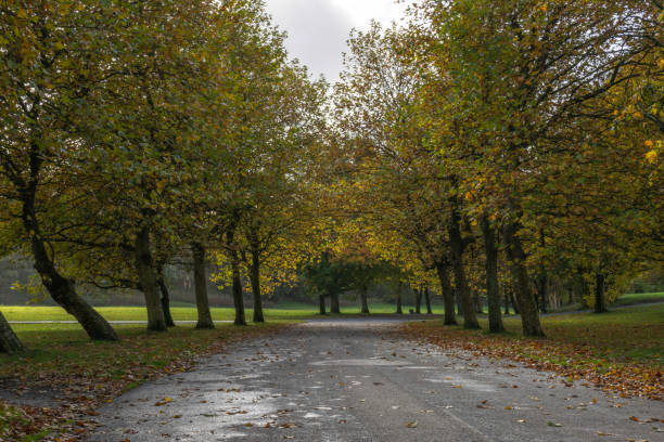 istock Treelined Pathway in Heaton Park 2181153581