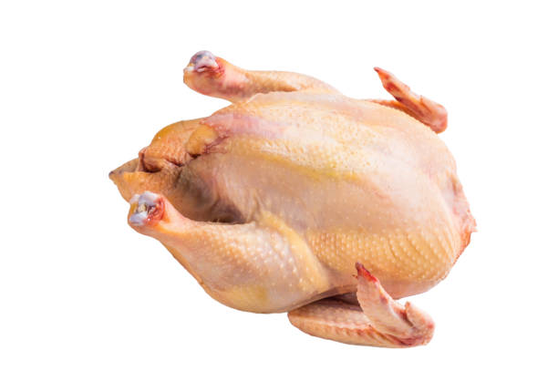 istock Raw eco farm chicken carcass on the cutting board isolated on white background 2181154556