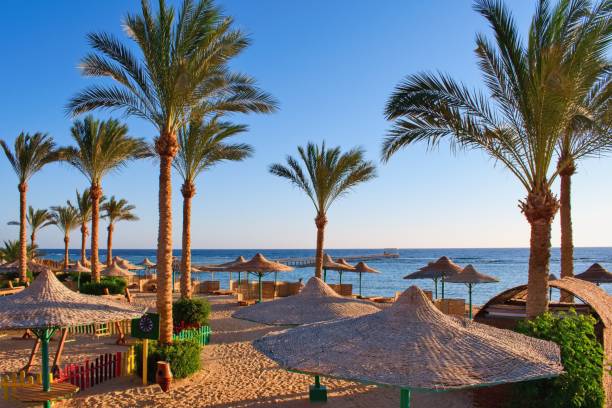 istock Idylic beach with palms and sun umbrelas, Red Sea, Egypt 2181155029