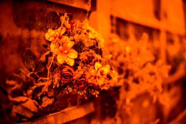 close up of withered flowers with soft yellow and orange lights with old photosclose up of withered flowers with soft yellow and orange lights with old photos