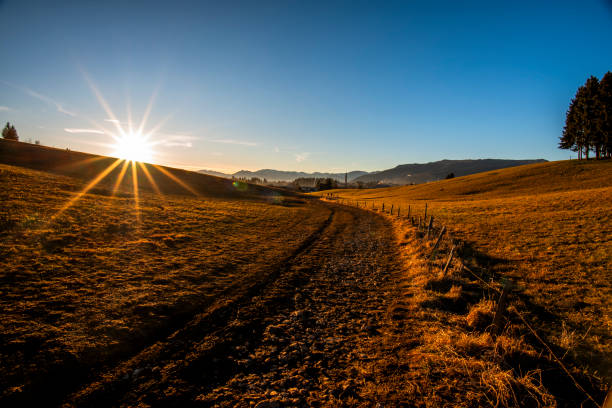 istock 2024 01 04 Asiago country road 6 2181169404