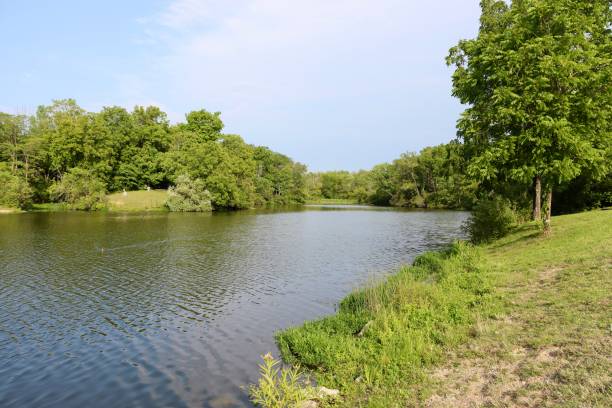 istock Peaceful Lake in the Park 2181182897