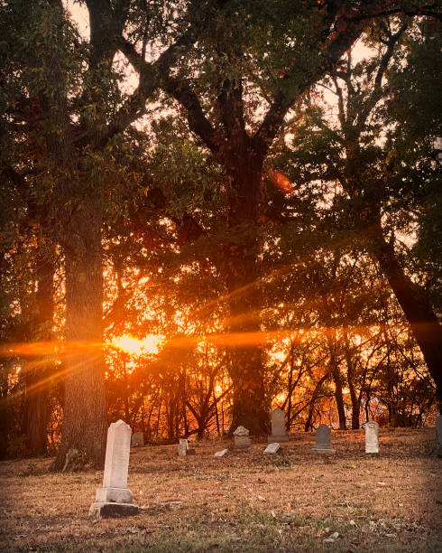 istock The woods of Eastern Oklahoma 2181183705