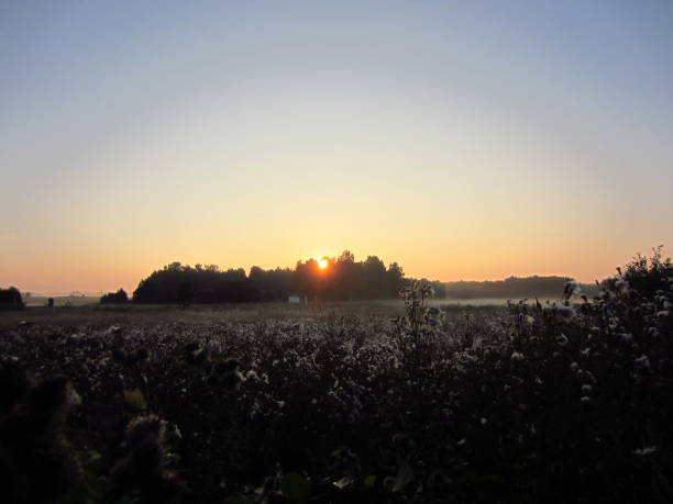 istock Golden Sunrise in Early Spring in Belarus 2013 2181184540