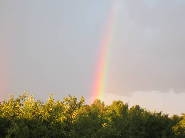 istock Rainbow in the Sky above Forest and Fields in Belarus during Summer 2181184622