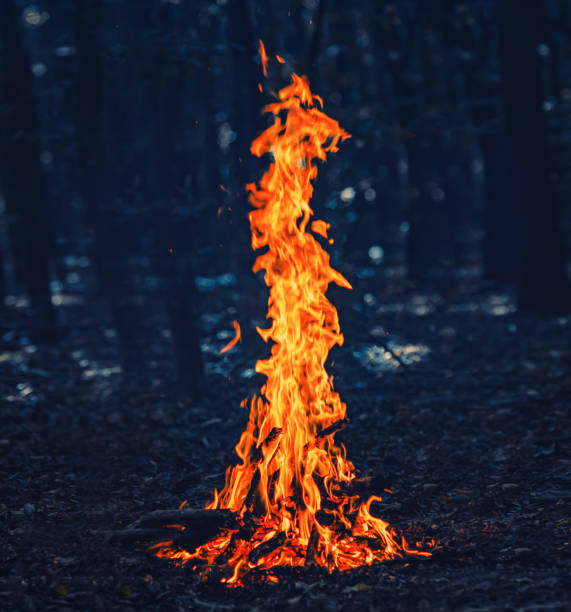istock Small Campfire Burning in Darkness Cozy Wilderness Light 2181187609
