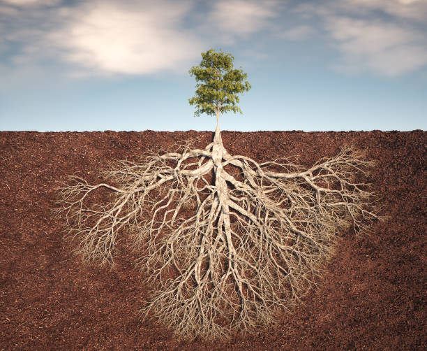 A vibrant tree stands tall above the ground, its intricate network of roots sprawling beneath the surface, illustrating the vital relationship between air and soil. This is a 3d render illustration
