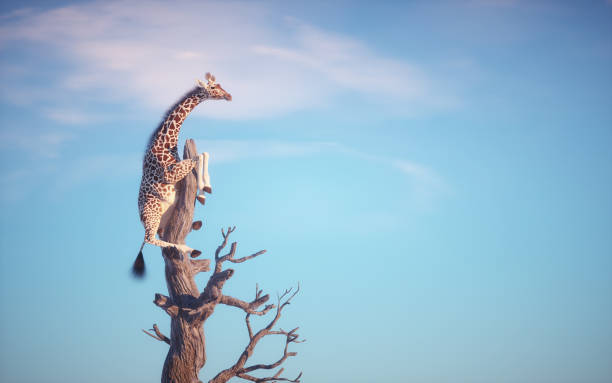 istock Giraffe climbing a dry tree in surreal landscape. 2181191303