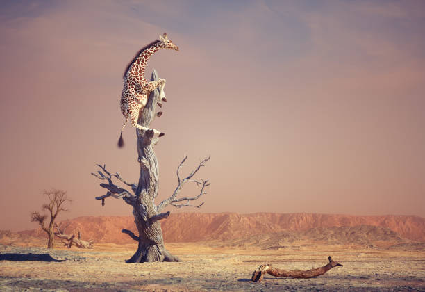 Giraffe climbing a dry tree in surreal landscape. This is a 3d render illustration