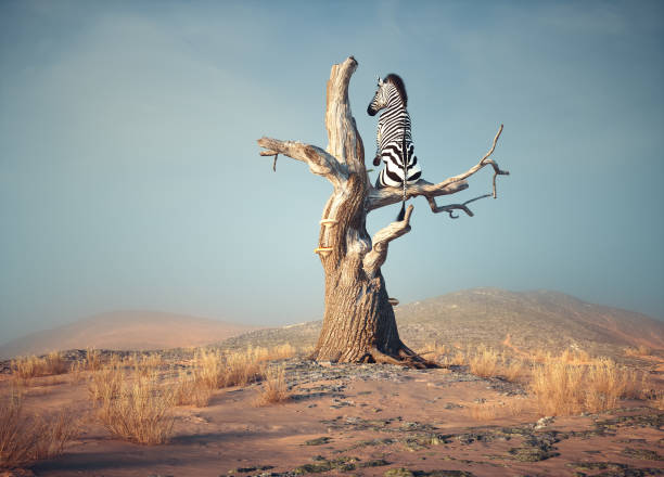 Zebra stands on thin branch of withered tree in surreal landscape. This is a 3d render illustration